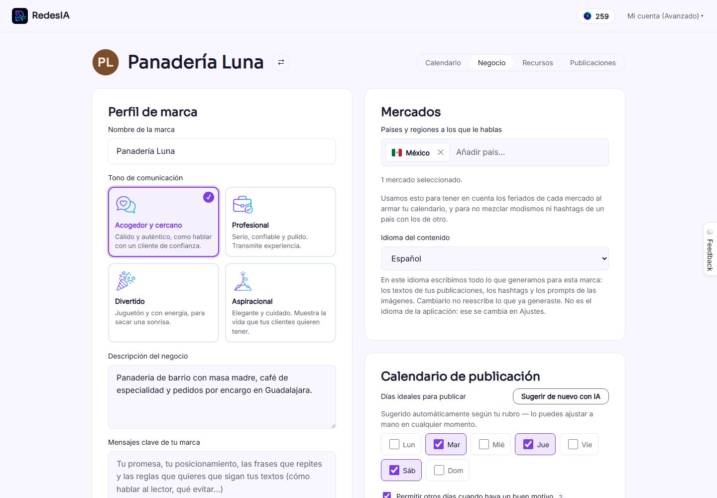 Captura de pantalla — paso 1: Negocio: tu perfil de marca y tus mercados