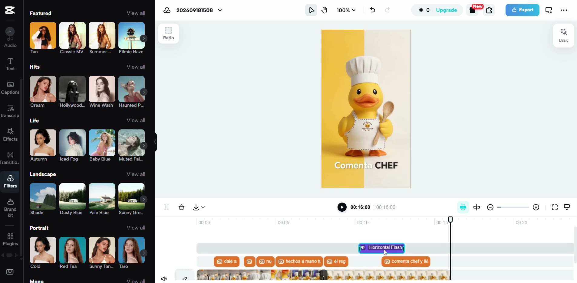 Captura de pantalla — paso 5: Exporta tu video listo para publicar